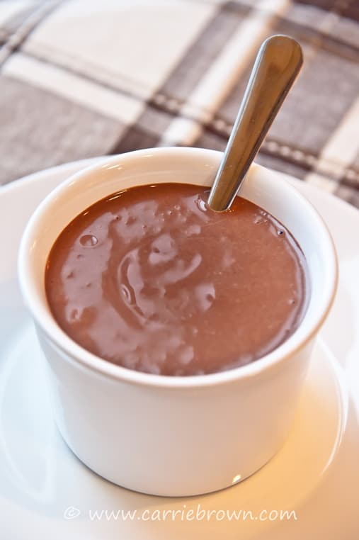 SANE Breakfast Recipe: Chocolate Yogurt | SANESolution: #1 Gut &amp; Brain ...