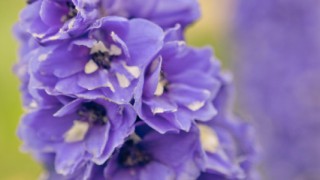 Starvation Is NOT Healthy. Stop counting calories & go #SANE w/me at http://SANESolution.com