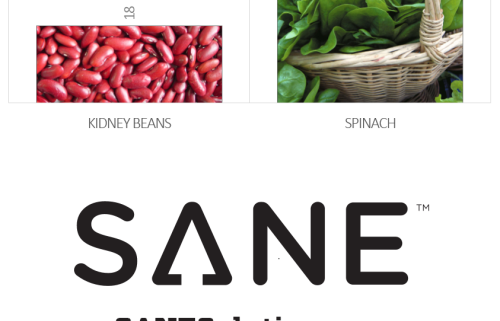 Starvation Is NOT Healthy. Stop counting calories & go #SANE w/me at http://SANESolution.com