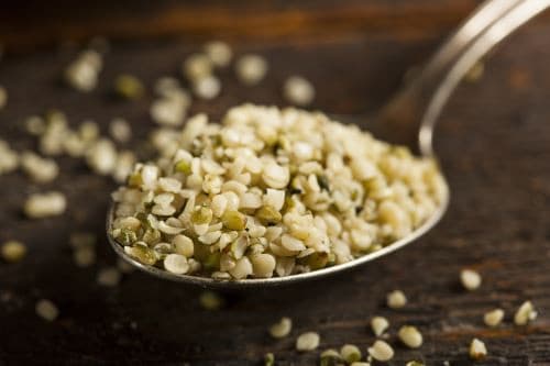 hemp seeds superfood