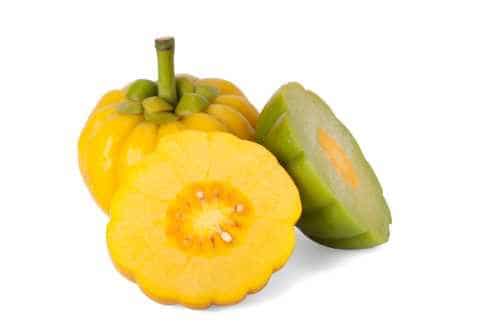 Garcinia Cambogia Extract