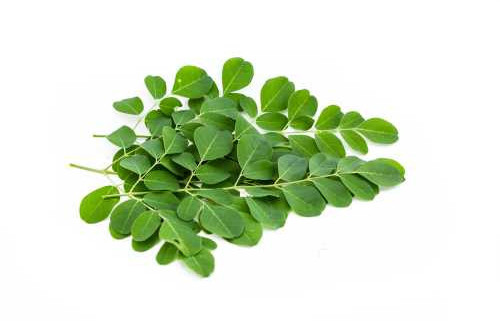 moringa booster