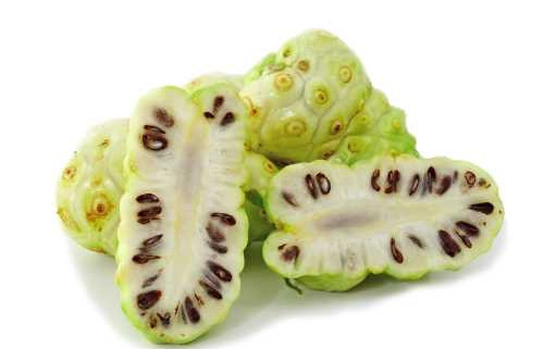 noni fruit powder superfood