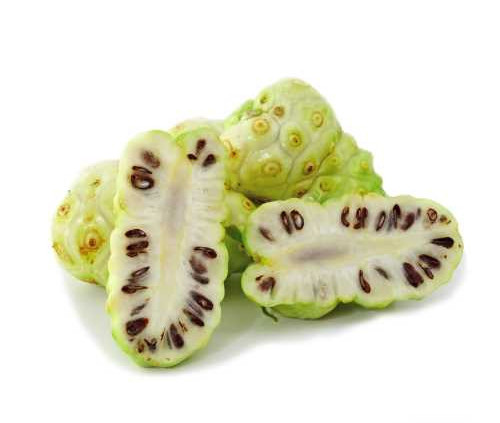 noni fruit powder superfood