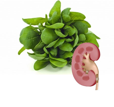 Lowering Oxalates