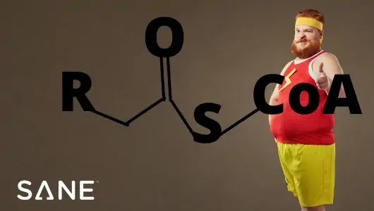 acetyl coa
